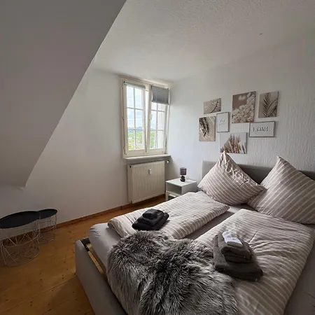 Apartment Foundry One Loftquartier In Jugenstilvilla Wittlich